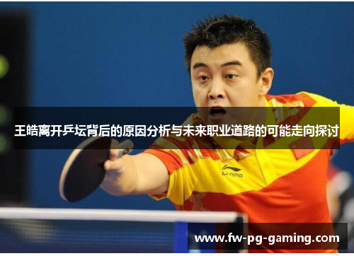王皓离开乒坛背后的原因分析与未来职业道路的可能走向探讨
