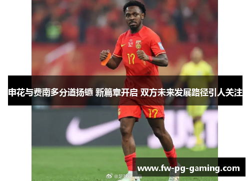 申花与费南多分道扬镳 新篇章开启 双方未来发展路径引人关注